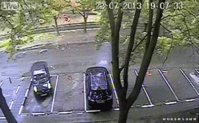 5246ba58753a770fbb94f5b5793307b0.gif