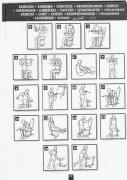 programme-musculation.jpg