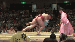 5.gif