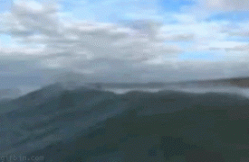 серфинг.gif
