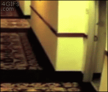 гостиница.gif