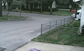 почта.gif
