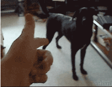 убил.gif