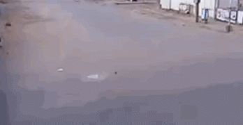 машины.gif