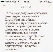 симс.jpg