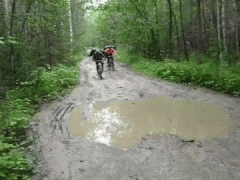 лужа.gif