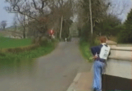 гонки2.gif