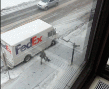птица1.gif