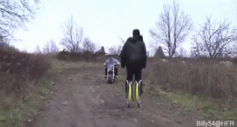 прыгун.gif