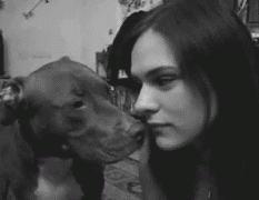 собака3.gif