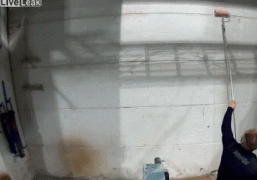 стена1.gif
