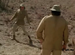 каратист.gif