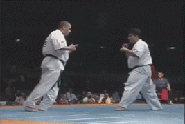 карате1.gif