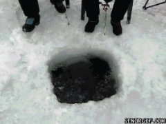 прорубь.gif