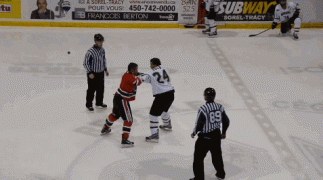 драка хоккеистов.gif