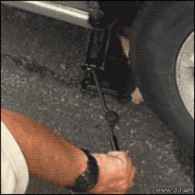 котенок играет.gif