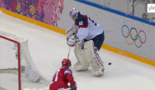 вратарь.gif