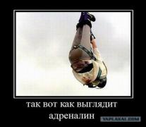 адреналин.jpg