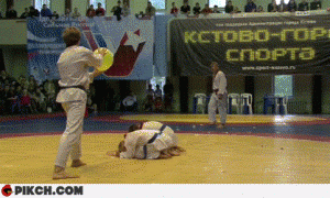 карате.gif