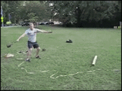 метнул.gif