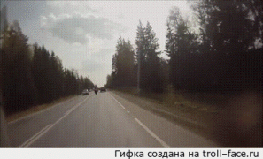 дтп9.gif