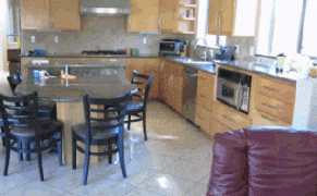 пес на кухне.gif