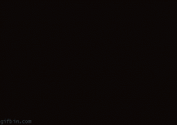 кот смотрит.gif