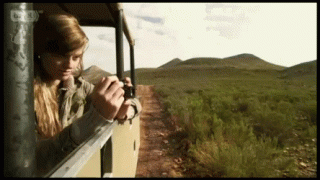 фотики.gif
