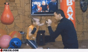 боксер1.gif