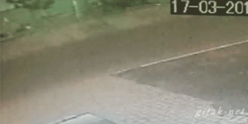 машина1.gif
