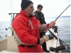 рыбка.gif
