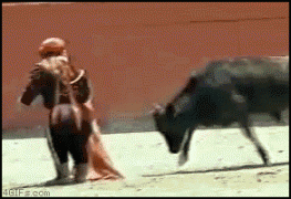 бык2.gif