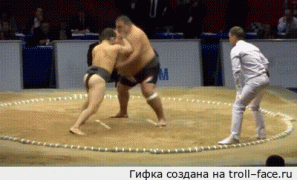 сумо.gif