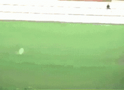 гол1.gif