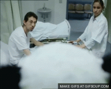 панда.gif