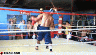 нокаут1.gif