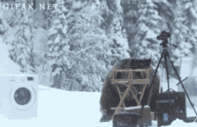медведь4.gif
