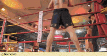 боксер.gif