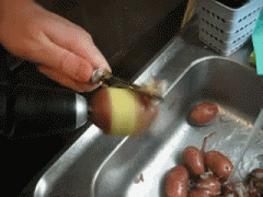 картошка.gif