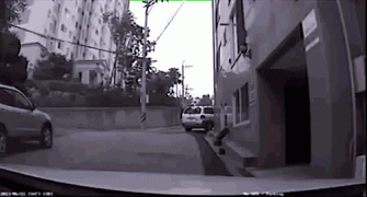 наезд.gif