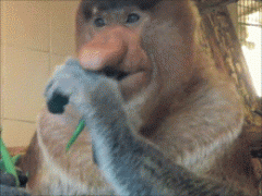 doc78076148_258897288.gif