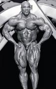 Ronnie Coleman 151.jpg