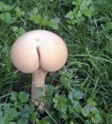 грипп жопа.jpg