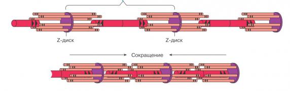 Screenshot_1.jpg
