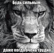 Будь сильным.jpg
