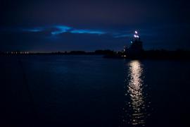 _DSC0555.jpg