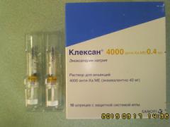 IMG01973.jpg