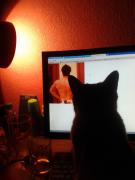 20140728_233309.jpg