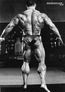 body_builder_19sfw.gif