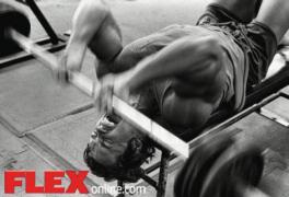 triceps_2_0.jpg